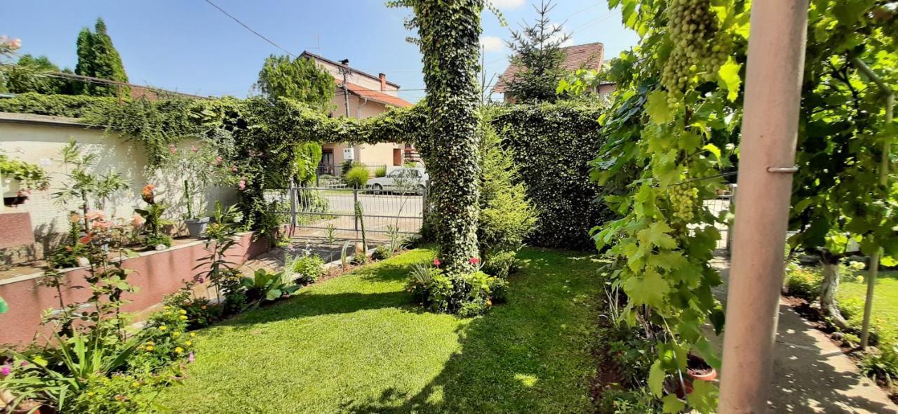 Exclusive Paraćin Exterior foto